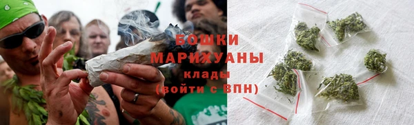 шишки Белоозёрский