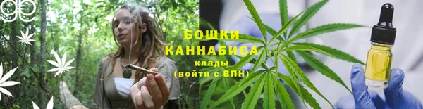 шишки Белоозёрский
