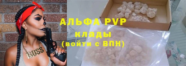 Альфа ПВП Белокуриха