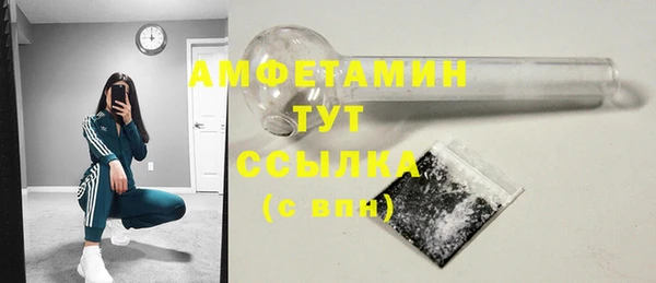 шишки Белоозёрский