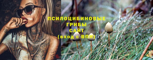 шишки Белоозёрский