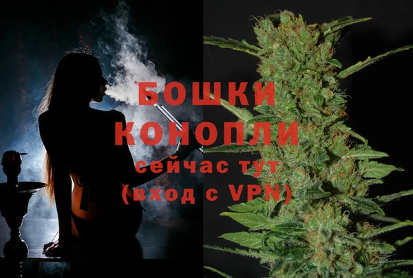 каннабис Беломорск