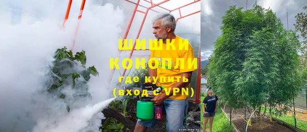 Альфа ПВП Белокуриха
