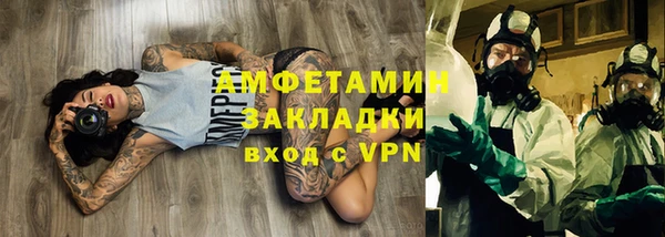 шишки Белоозёрский