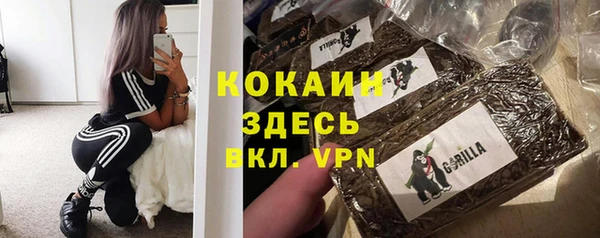 шишки Белоозёрский