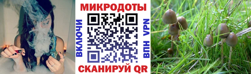 Галлюциногенные грибы Cubensis  гидра tor  Нестеровская  закладка 